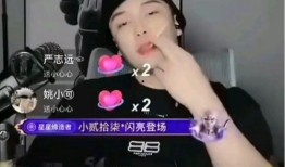 网红黑料在线,网络舆论背后的真相与反思