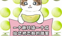 热门大瓜 吃瓜网每日大赛,吃瓜网每日大赛精彩瞬间